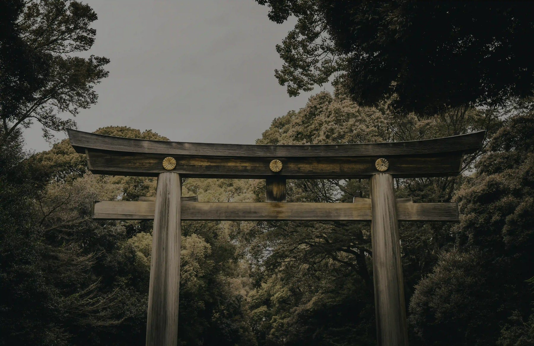 Your Personal Japan Travel Planner