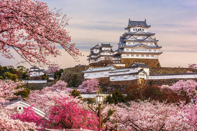 Himeji Castle Raises Admission Fee for Nonresidents to 2,500 Yen Under New Pricing System