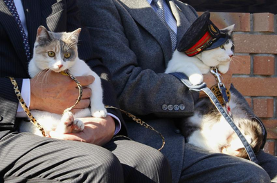 Japan’s Iconic Cat Stationmaster Yontama Welcomes a New Feline Coworker