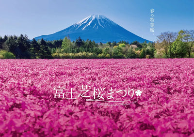 500,000 Moss Phlox to Color Fuji Shibazakura Festival Starting April 11