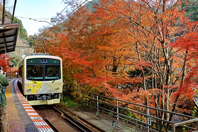 Eizan Electric Railway Launches Panoramic “Mai” Train for Scenic Journeys