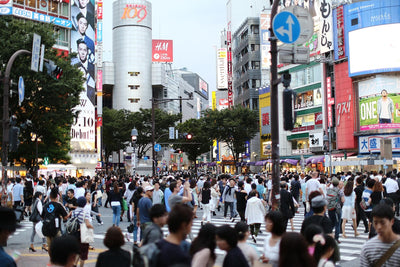 Tokyo Ward Guide: Discover the 23 Special Wards of Japan's Capital