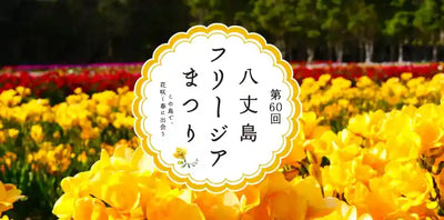 60th Hachijojima Freesia Festival Set to Brighten Spring in Tokyo’s Island Paradise