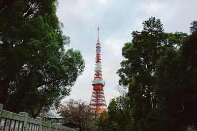 Free Observation Decks in Japan: The Best City Views at No Cost