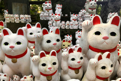 Getting to Know Maneki Neko, the Lucky Cat from Japan