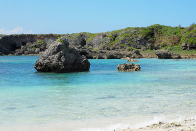 The Excitement of Summer in Okinawa, Japan: A Tropical Beach Paradise in the Land of Sakura