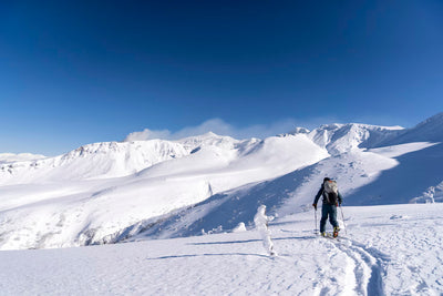 The Complete Hokkaido Winter Guide: 7-Day Itinerary