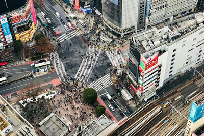 Choosing Between Shibuya and Shinjuku for Your Tokyo Trip: What’s the Difference?