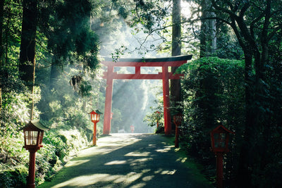 Japan Shrine vs Japan Temple: Understanding the Differences and Their Purposes