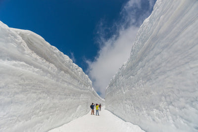 Complete Tateyama Kurobe Alpine Route 2026 Guide: Where Should You Start?