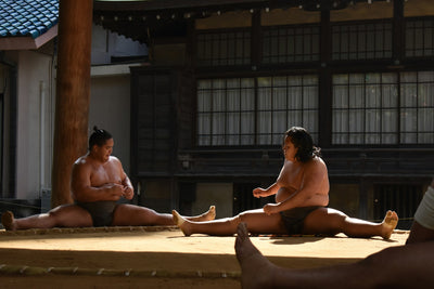 A Guide to Watching Popular Sports in Japan for Travelers