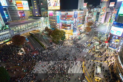 Tokyo’s Most Iconic Districts Loved by Travelers Worldwide